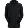 Arcteryx Heren Ionia Hoodie