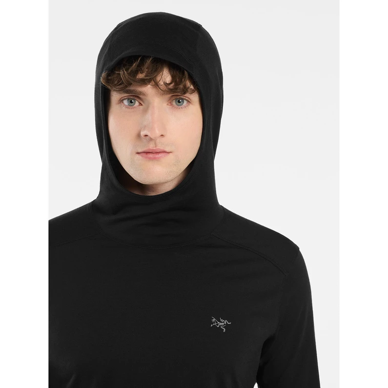 Arcteryx Heren Ionia Hoodie 6 Arcteryx Heren Ionia Hoodie - Afbeelding 6