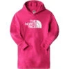 The North Face Kinderen Graphic Relaxed P/o Hoodie